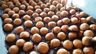 四}樄豦趡?曪丛蹋软肰w/濦轭僤dJz瑣u荄?